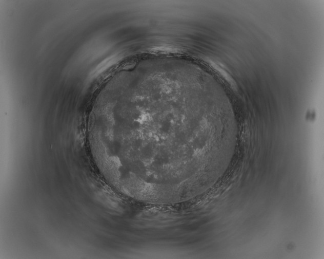 X0000091551015200708171301