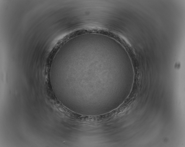 X0000091551016200708171301