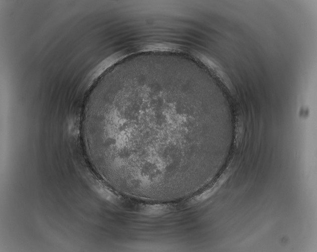 X0000091551017200708171301