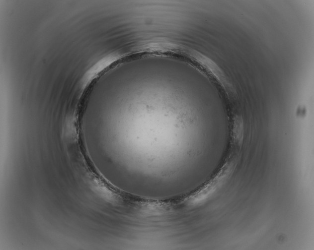 X0000091551018200708171301