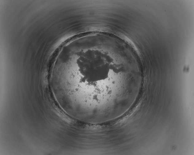 X0000091551019200708171301