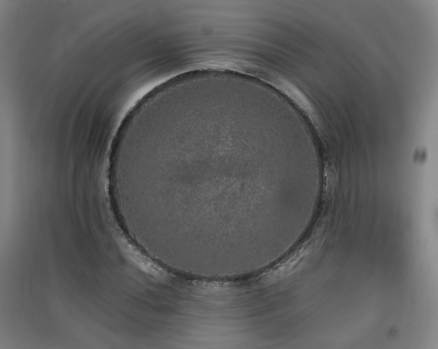 X0000091551020200708171301