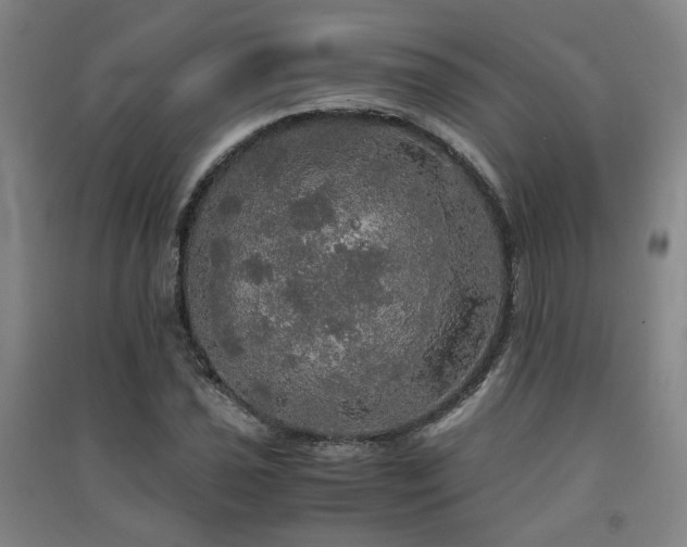 X0000091551021200708171301