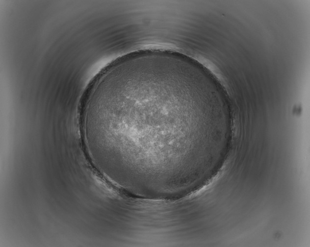 X0000091551022200708171301