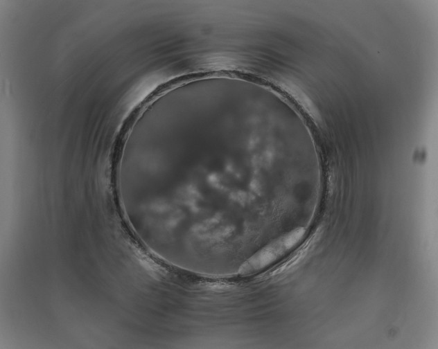 X0000091551023200708171301
