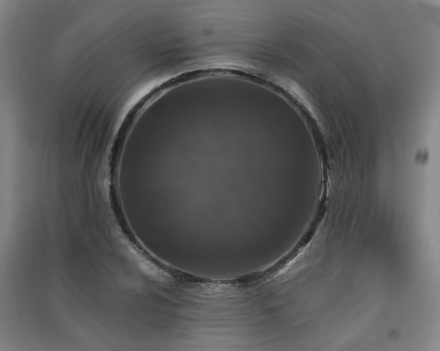 X0000091551024200708171301