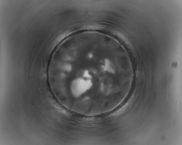 X0000091551025200708171301