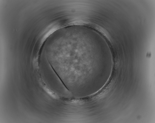 X0000091551026200708171301