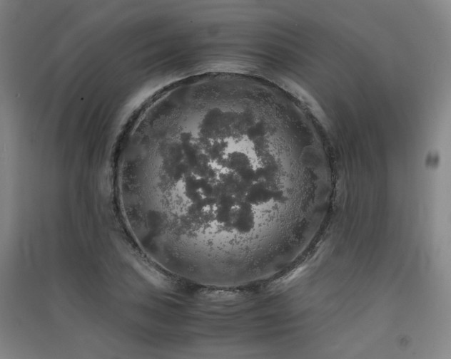 X0000091551027200708171301