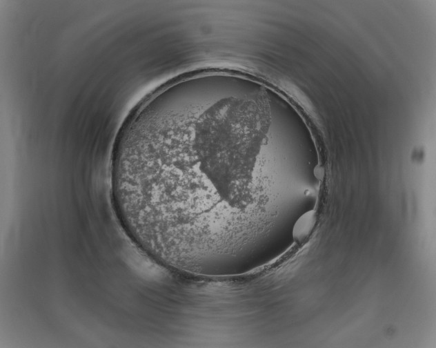 X0000091551028200708171301