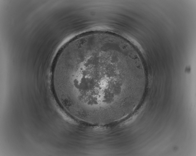 X0000091551029200708171301