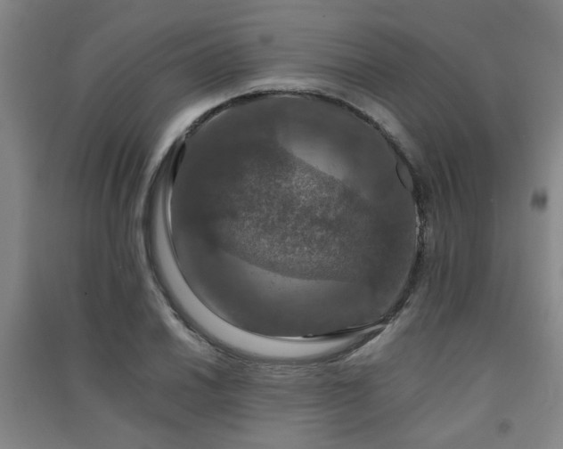 X0000091551030200708171301