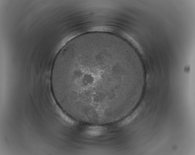 X0000091551033200708171301