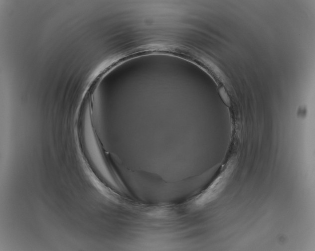 X0000091551034200708171301