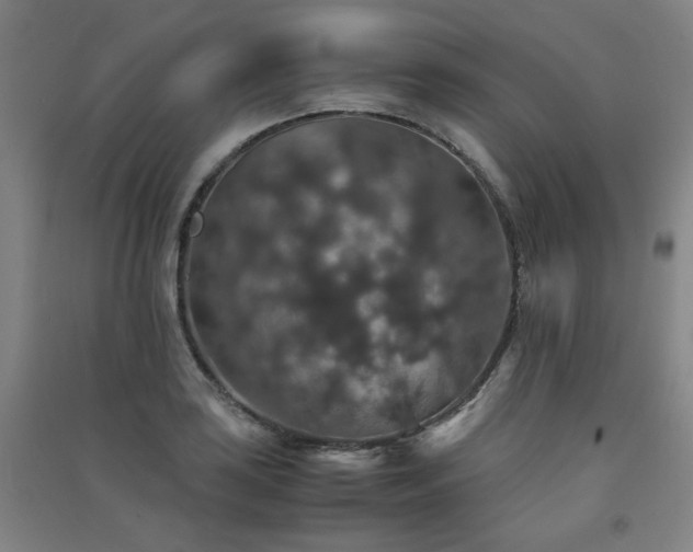 X0000091551035200708171301