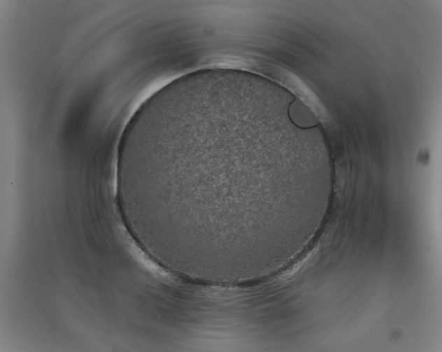 X0000091551036200708171301