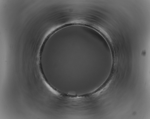 X0000091551037200708171301