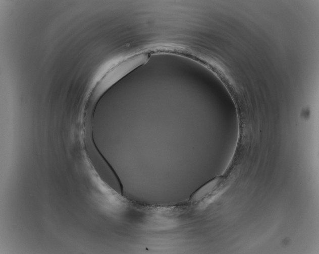 X0000091551038200708171301