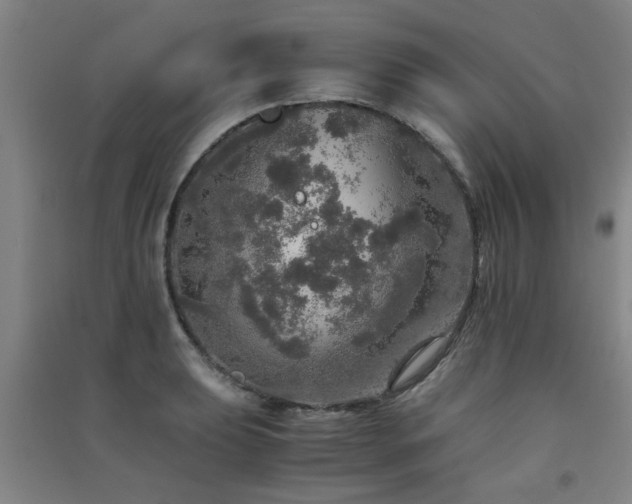X0000091551039200708171301