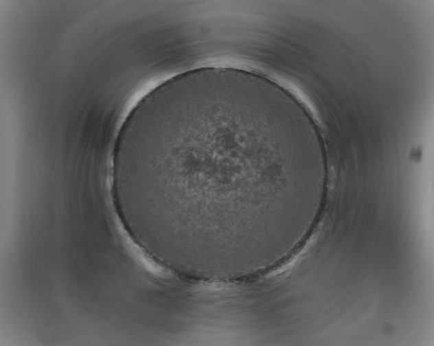 X0000091551040200708171301