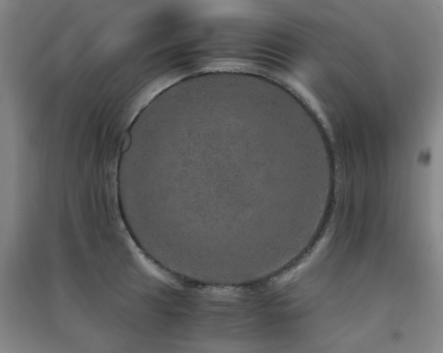 X0000091551041200708171301