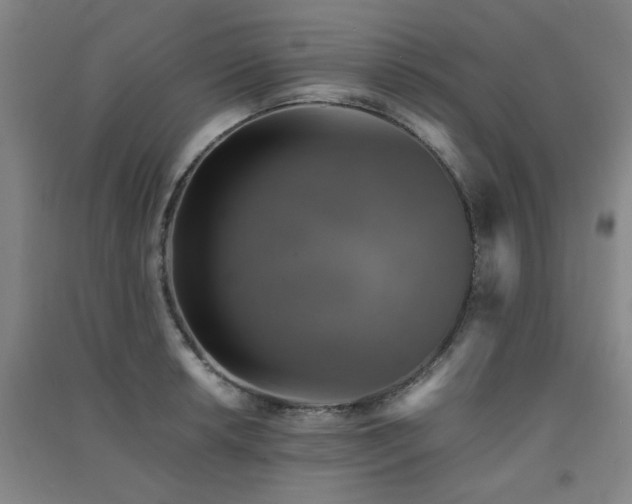 X0000091551042200708171302