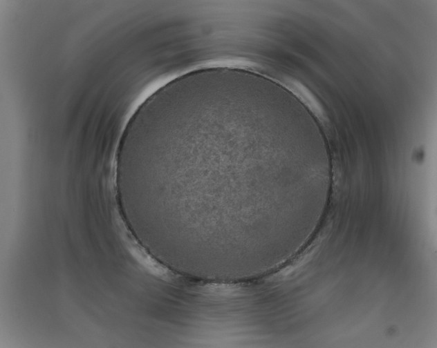 X0000091551044200708171302