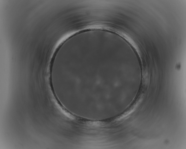 X0000091551045200708171302