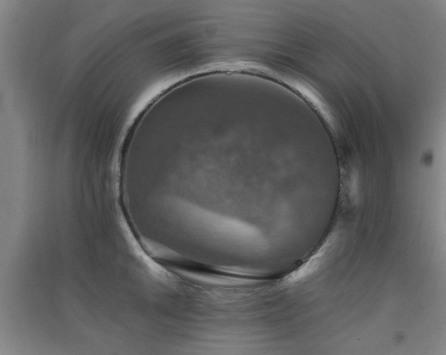 X0000091551046200708171302