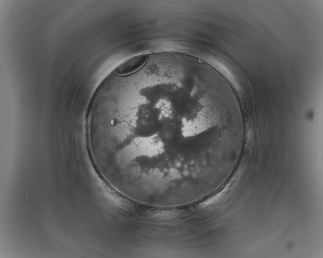 X0000091551047200708171302