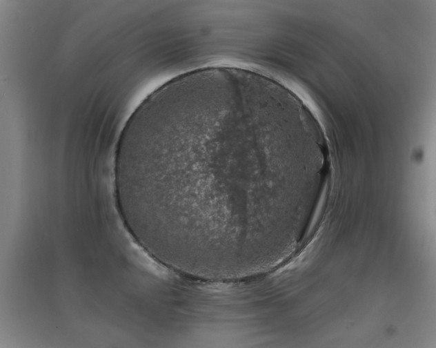 X0000091551048200708171302