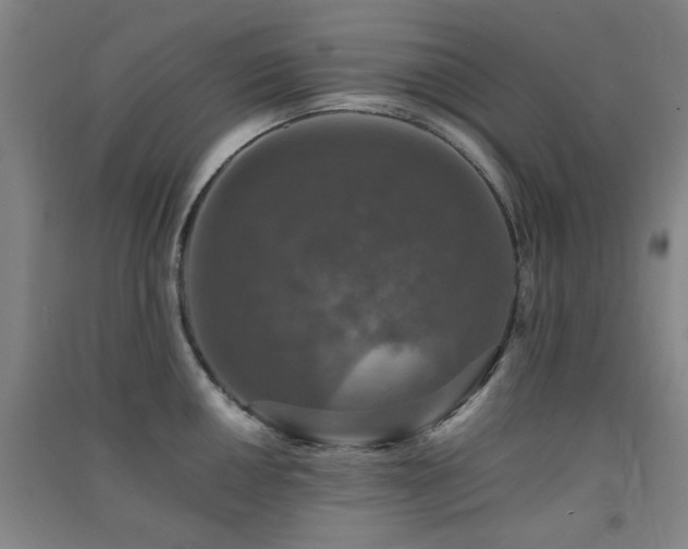 X0000091551050200708171302
