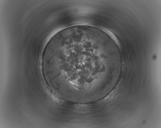 X0000091551051200708171302