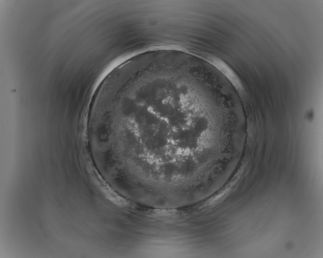 X0000091551052200708171302