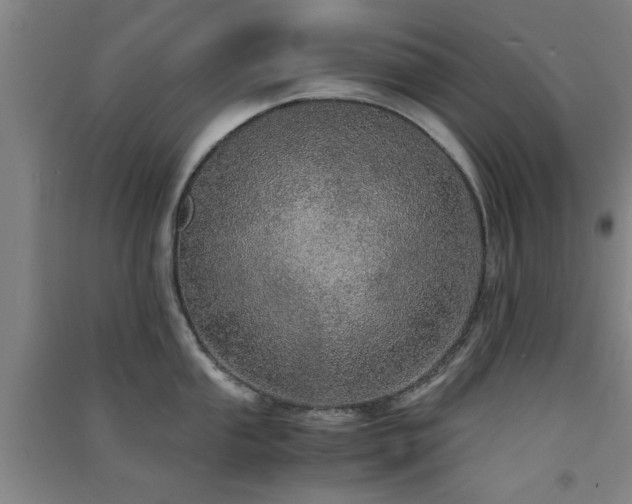 X0000091551053200708171302