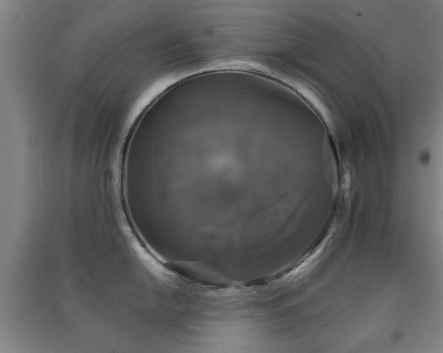 X0000091551054200708171302