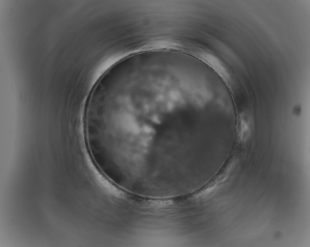 X0000091551055200708171302