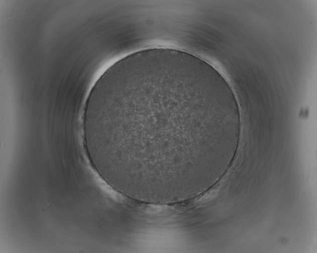 X0000091551056200708171302