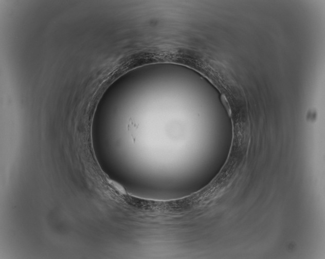 X0000091551057200708171301