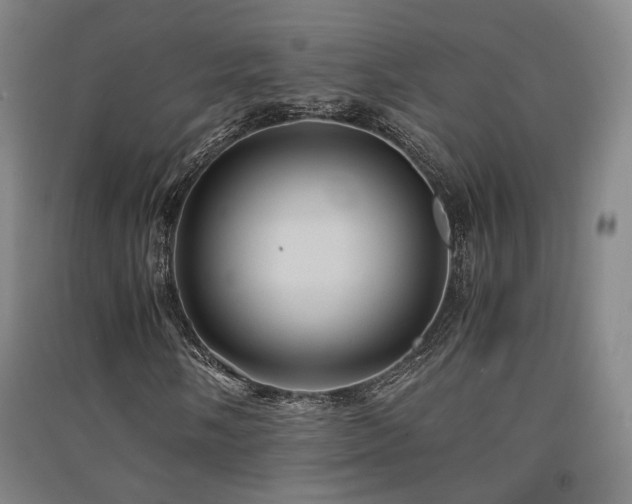 X0000091551058200708171301