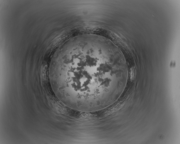 X0000091551059200708171301