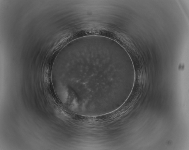 X0000091551060200708171301