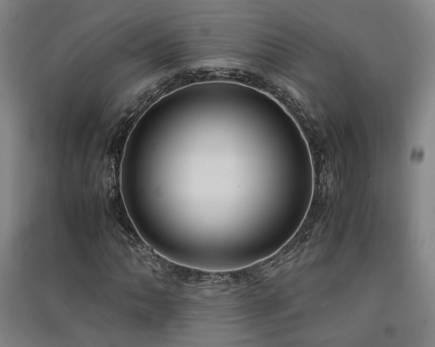 X0000091551062200708171301