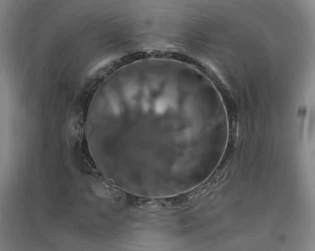 X0000091551063200708171301