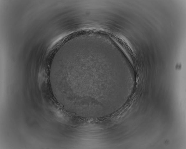 X0000091551064200708171301