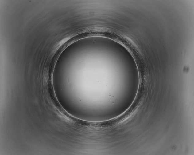 X0000091551065200708171301