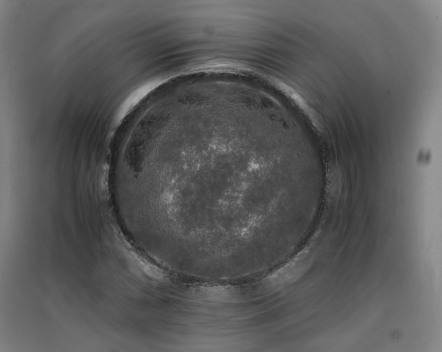 X0000091551066200708171301
