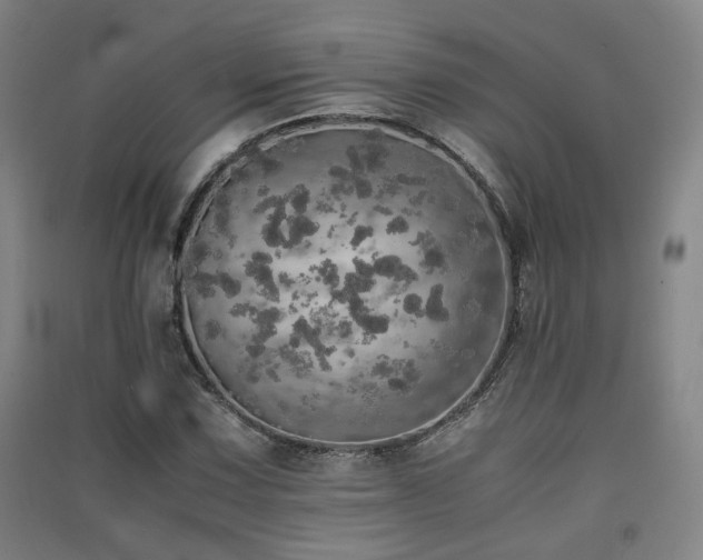 X0000091551067200708171301