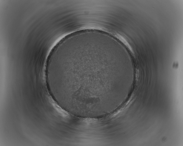 X0000091551068200708171301