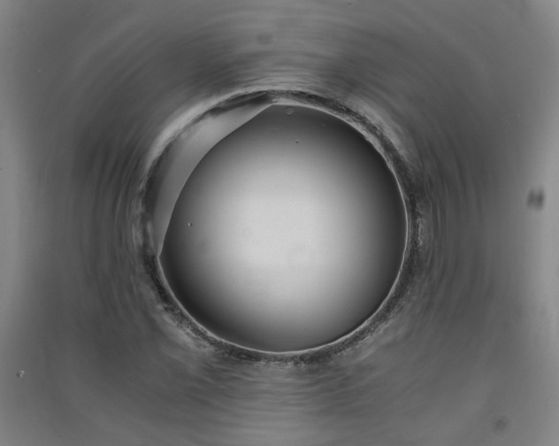 X0000091551069200708171301